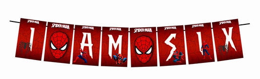 Spider Theme I Am Six 6th Birthday Banner for Photo Shoot Backdrop and Theme Party