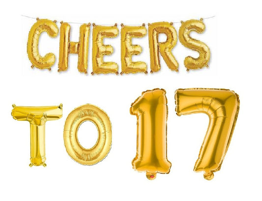 Cheers to 17 Birthday Foil Balloon Combo Party Decoration for Anniversary Celebration 16 Inches