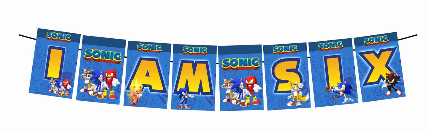 Sonic the Hedgehog I Am Six 6th Birthday Banner for Photo Shoot Backdrop and Theme Party