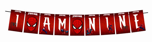Spider Theme I Am Nine 9th Birthday Banner for Photo Shoot Backdrop and Theme Party