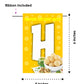 Golgappa Theme Happy Birthday Decoration Hanging and Banner for Photo Shoot Backdrop and Theme Party
