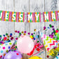 Guess My Name Banner Bunting Flags for Naming Ceremony Background and Theme Party Decorations